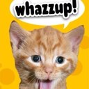 Benjamin Flake - @Benjiiflake54 - Twitter