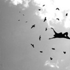 David_Boluda's profile picture. La humildad prevalece mientras la magia crece.