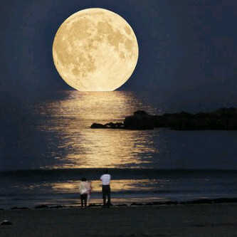 هذا حسابي الجديد @eman_507