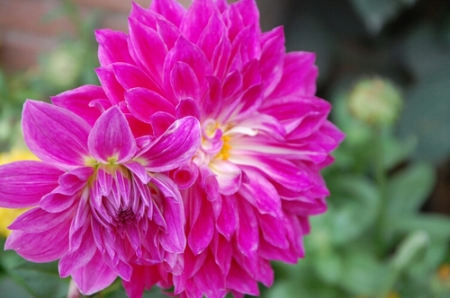 Gemma19s's profile picture. 