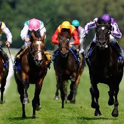 A new twitter feed dedicated to bringing you horse tips. good luck to you.
