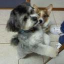 Robin Sumner - @sumnerpip55 - Twitter