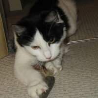 Catherine (@catl1404) 's Twitter Profile