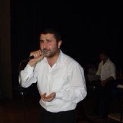 Ses sanatçısı.