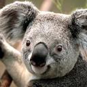 David Christiansen - @GandalfDavid - Twitter