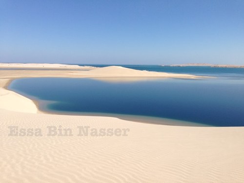 essa898's profile picture. 