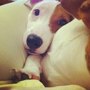 Earl Jay - @EarlJay488 - Twitter