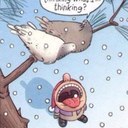 Wayne Rickard  - @waynes_photos - Twitter