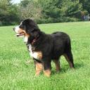 kevin spooner - @barinkar - Twitter