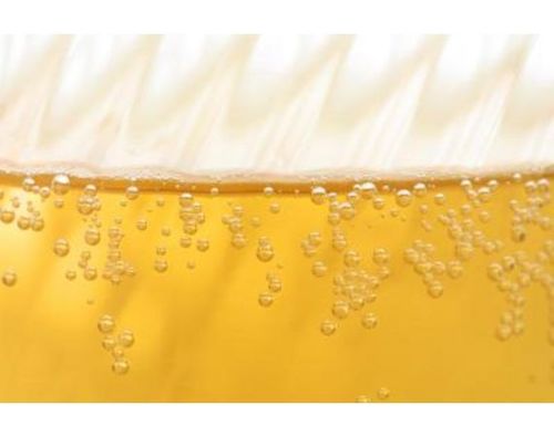 The One Thing We Can Truly Unite Around - Brewskis.            Celebrating The World's Oldest Drink.