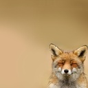 Loretta Marotta - @Loretta_1968 - Twitter