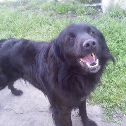 paolaalejandr74's profile picture. 