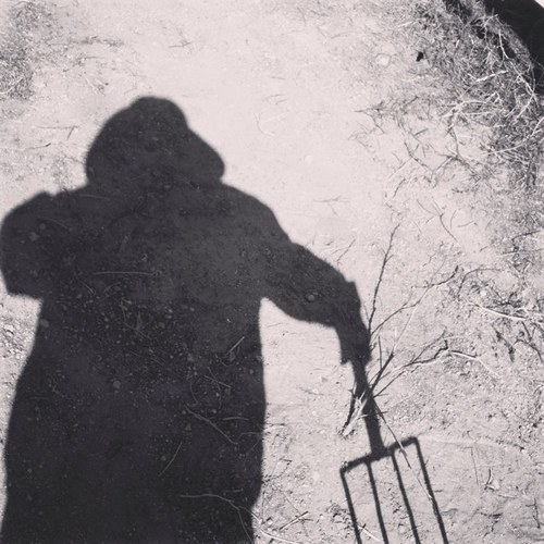 hellzbell4's profile picture. Editor/traveler