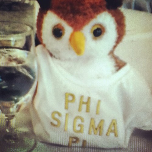 This is the new twitter for the #WMU Gamma Rho chapter of Phi Sigma Pi