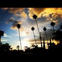 Weldon Tanner - @WeldonTanner782 - Twitter