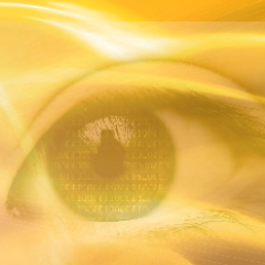 WebVirtuality's profile picture. Digital Lifestyle Blog