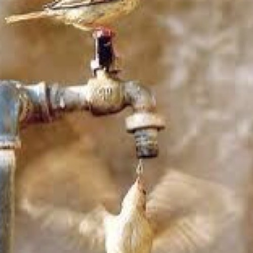 seem2020's profile picture. السلام العالمي مطلب للجميع