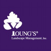 Young's Landscape (@youngslandscape) 's Twitter Profile