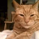 carrie hamm - @carrie_hamm - Twitter