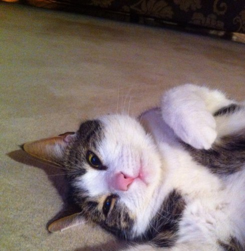 jimgrant12's profile picture. 