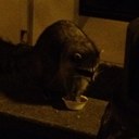 David Quach - @railcarQ - Twitter