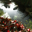 Elisa Day - @DayElisa12 - Twitter