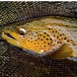Henry's Fork Lodge is the premier, luxury fly fishing lodge on the famed Henry's Fork, defining rustic elegance and providing the ultimate adventure experience.