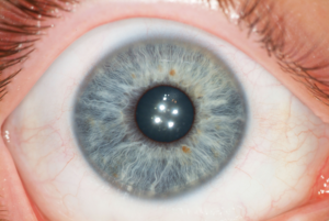 UofTStudy's profile picture. 