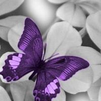 د. عزة آل محمود (@azzaalmahmod) 's Twitter Profile Photo د. عزة آل محمود (@azzaalmahmod) 's Twitter Profile Photo