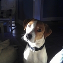 Chris Eubanks - @ChrisEubanks3 - Twitter