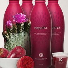 Discussion about our health in regards to inflammation of the body, benefits of Nopal Cactus ( Prickly Pear Cactus) & Reviews on the product Nopalea by TriVita.
