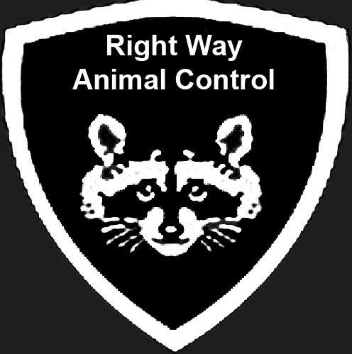 Safe for the animal removal system! From Orange County to Los Angeles you will find us to be the most Humane Wildlife Removal company around.