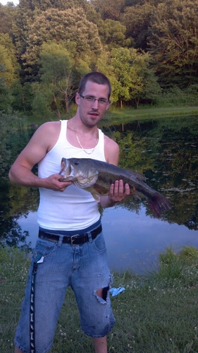 Kevnelson26's profile picture. 