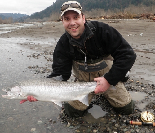 Collective2k's profile picture. 