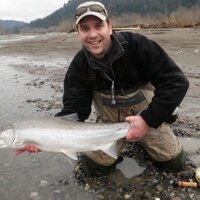 Wayne O'Donnell (@collective2k) 's Twitter Profile