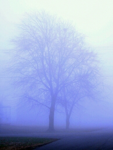 danji51's profile picture. 한량