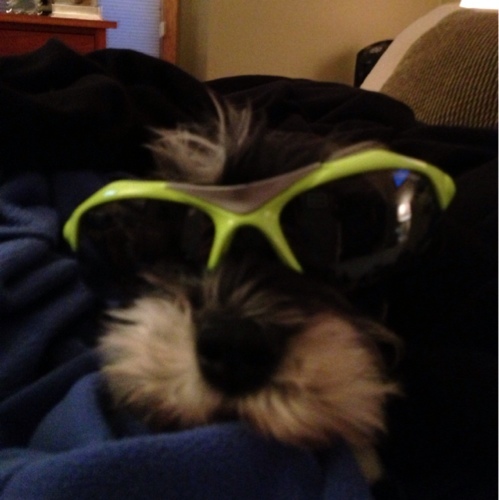 rjrenk's profile picture. 