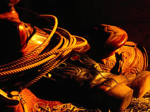 Contestdaily's profile picture. Contests daily! If you have any suggestions DM me! Thanks!