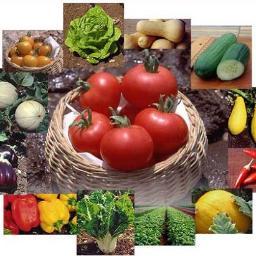 dexterfarmmarkt's profile picture. Community Garden & Farmer's Market. Fresh produce, jelly, picante sauce, & hot relish. Fall hay rack rides.Maintained by youth & adult volunteers.