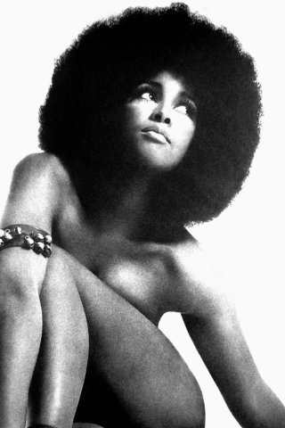 blackbeautytipz's profile picture. 