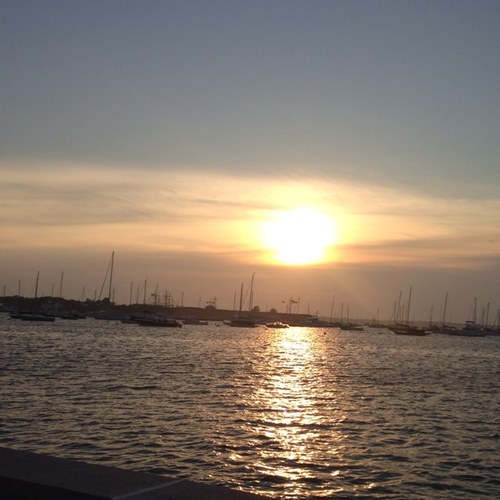 pamip7's profile picture. 