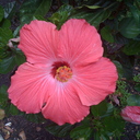 Kate Paris - @KayteeKat0584 - Twitter