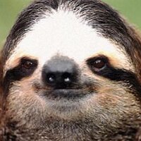 the mad LAD (@lazyacedia) 's Twitter Profile