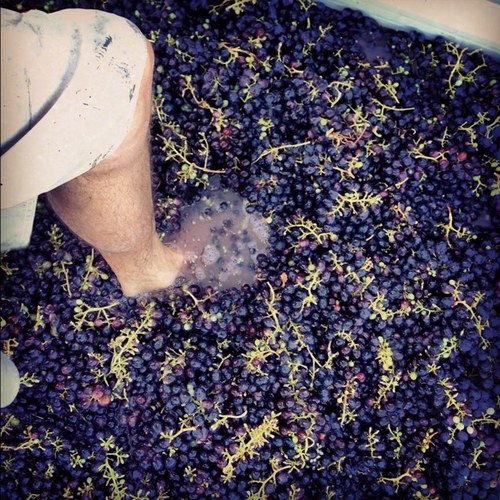 Debaucherous Activities with Unadulterated Grapes | Eden Valley | Barossa Valley | http://t.co/M0RZLZBY7V