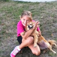 Brian Rewerts (@starkref1) 's Twitter Profile