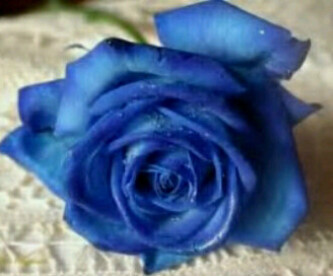 Nothing before its time and everything for a reason. I'm into everything that makes me smile! Entrepreneur by nature!