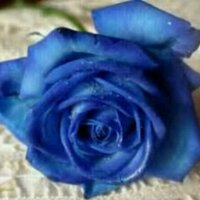 Follow'n my instinct (@glowworm44) 's Twitter Profile