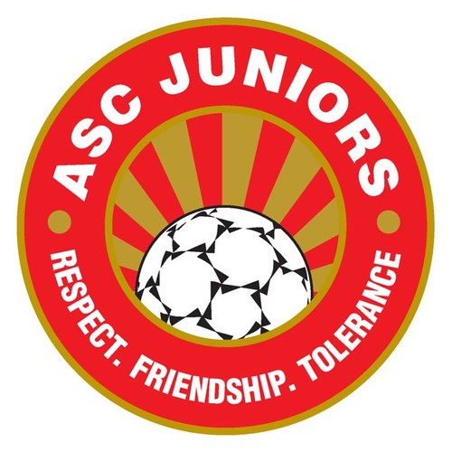 Hampshire FA Affiliated Junior Football Club. Age Appropriate coaching, structured around the FA Future Game model. Promoting Respect, Friendship & Tolerance.
