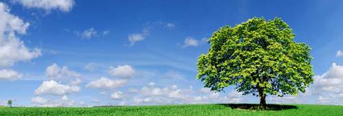 SustWellness's profile picture. Eric Stetler tweeting to spark interest re: how nutrition, exercise and lifestyle choices impact our awareness, our health, our quality of life, and our world