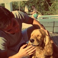 Mert Volkan (@hainpandamert) 's Twitter Profile